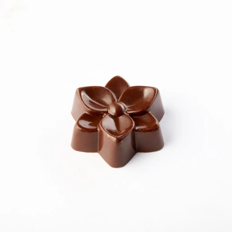 Polykarbonátová forma na pralinky 275x175 mm, Bouquet – PAVONI