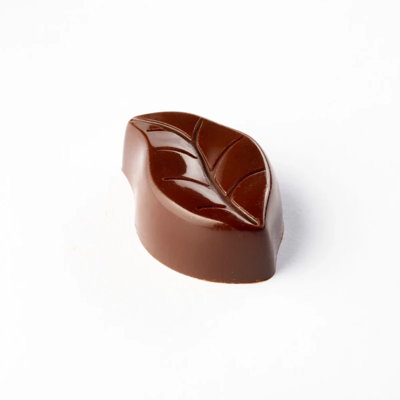 Polykarbonátová forma na pralinky 275x175 mm, PC5074FR – PAVONI