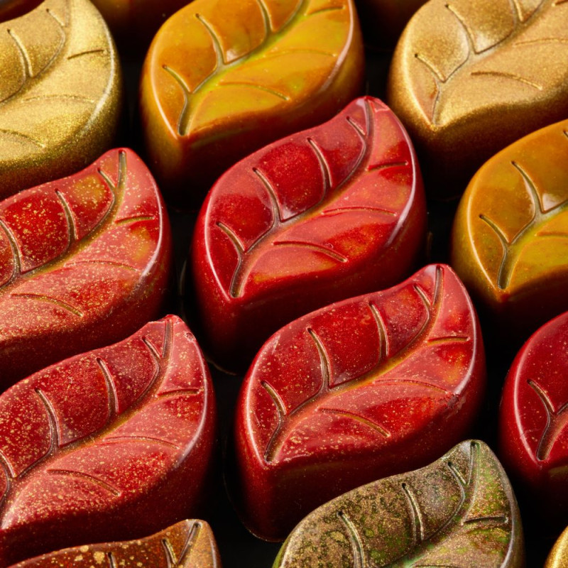 Polykarbonátová forma na pralinky 275x175 mm, PC5074FR – PAVONI 2
