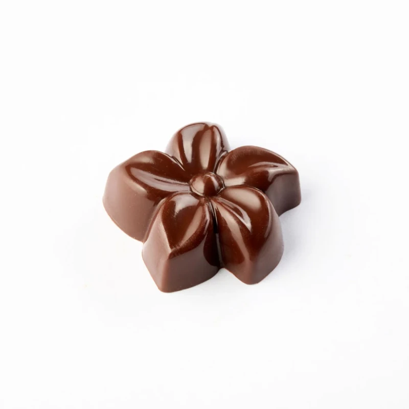 Polykarbonátová forma na pralinky 275x175 mm, PC5072FR – PAVONI