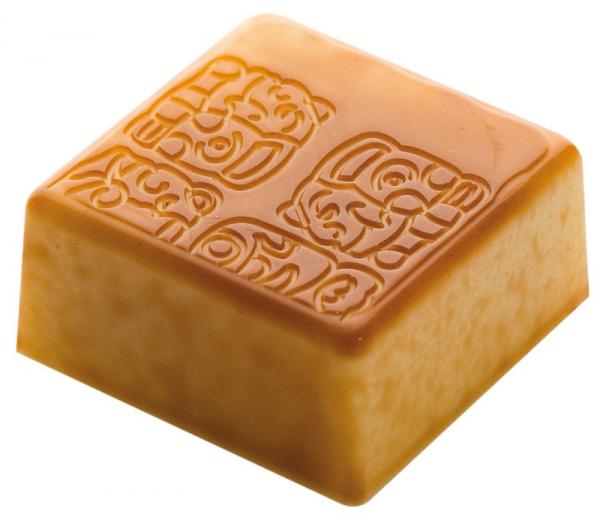 Polykarbonátová forma na štvorcové pralinky, 275x135 mm - CHOCOLATE WORLD